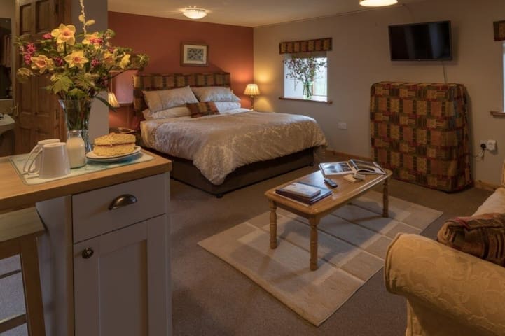 bed room with mini kitchen & balcony.