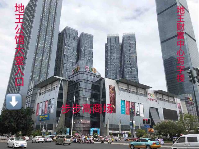 地王公馆绝美风景公寓人民广场步步高商场五星商圈