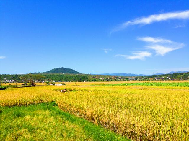 和顺稻田秋季景观