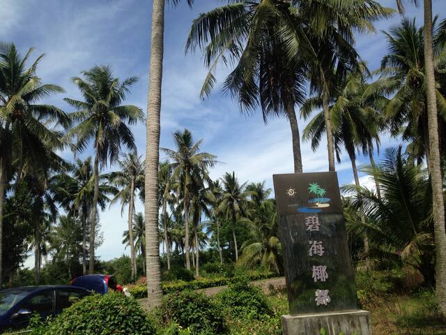 东郊椰林碧海椰都别墅酒店