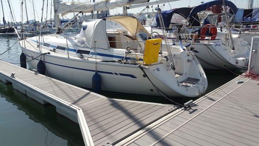 sailingboat sy rose