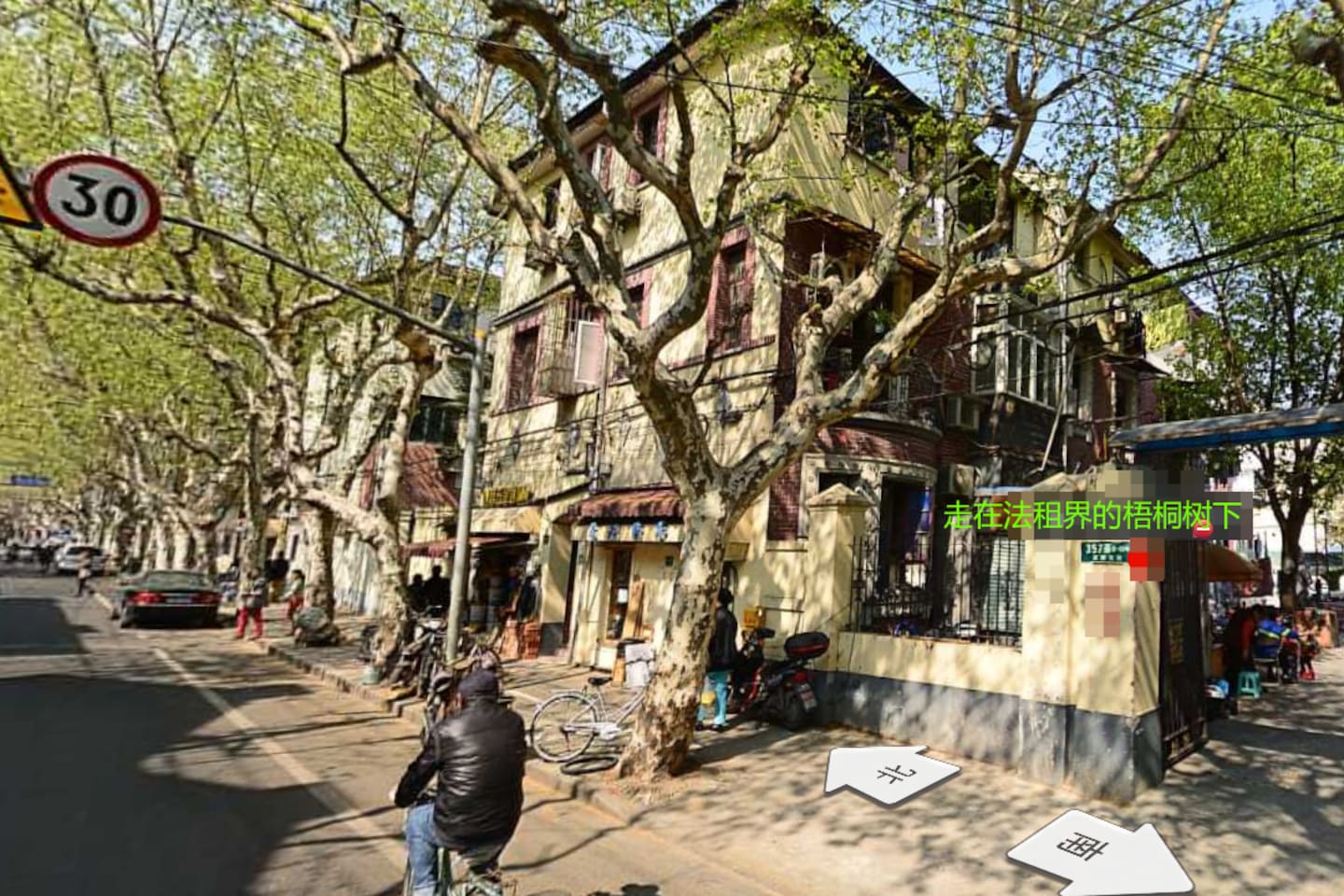 梧桐树下感受老上海的弄堂文化