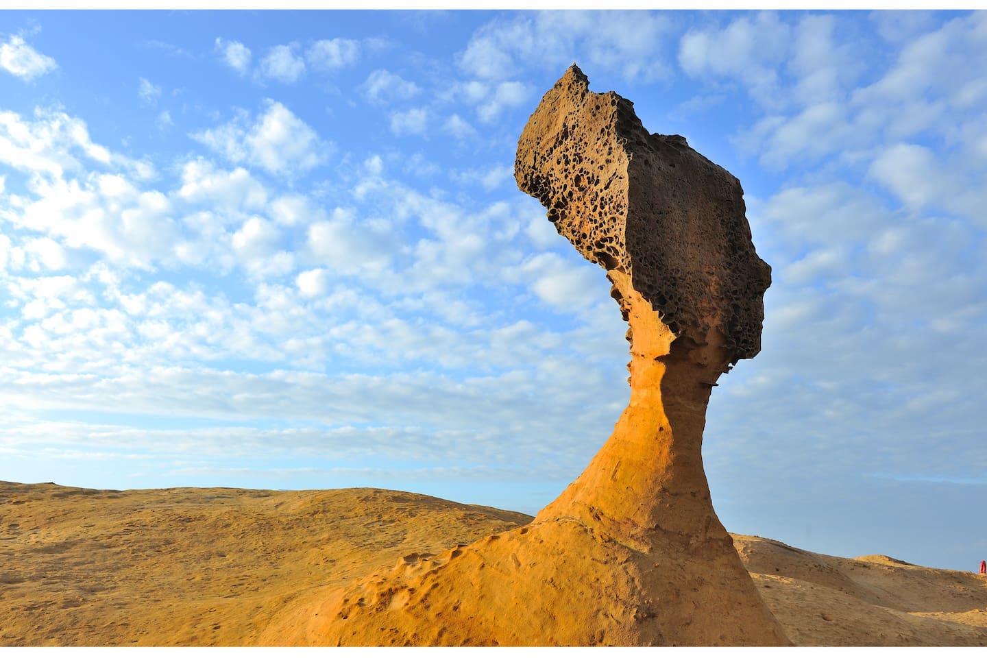 yehliu geopark 野柳地质公园