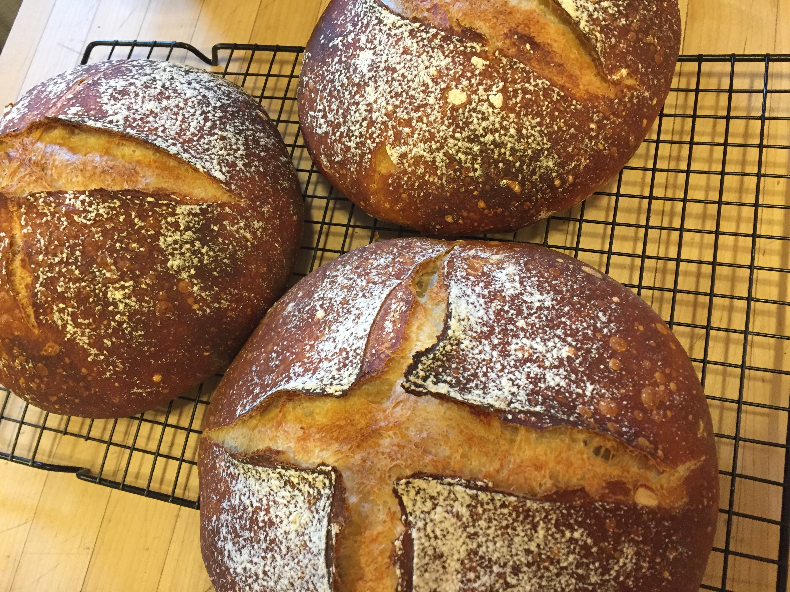 loaves of the finished bread