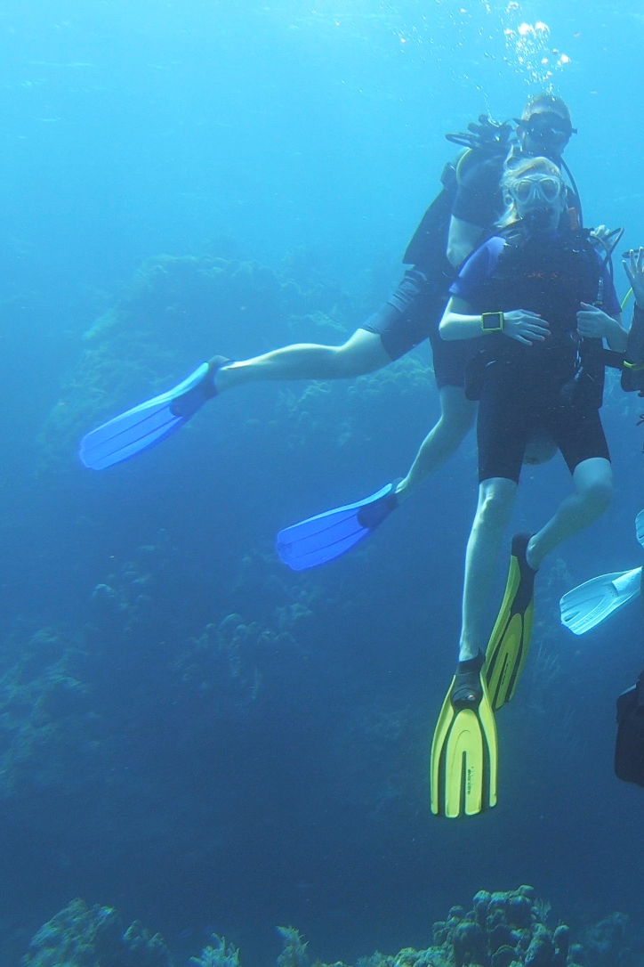 divingair,landdiving 体验水肺潜水 - airbnb