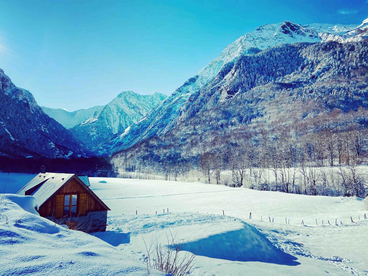 比利牛斯山脉中心正宗的狂欢节场地