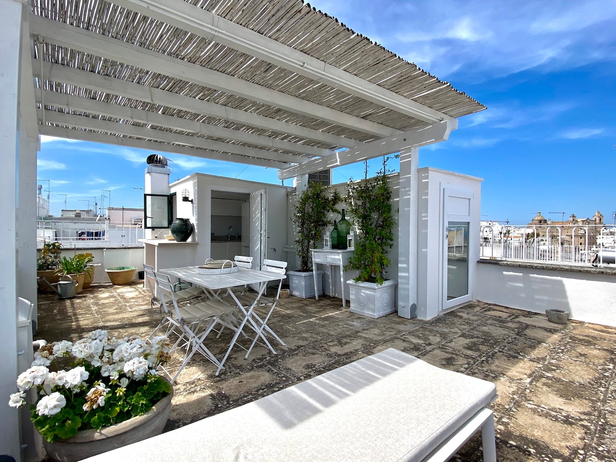 Casa Palmira - Panoramic terrace with kitchen