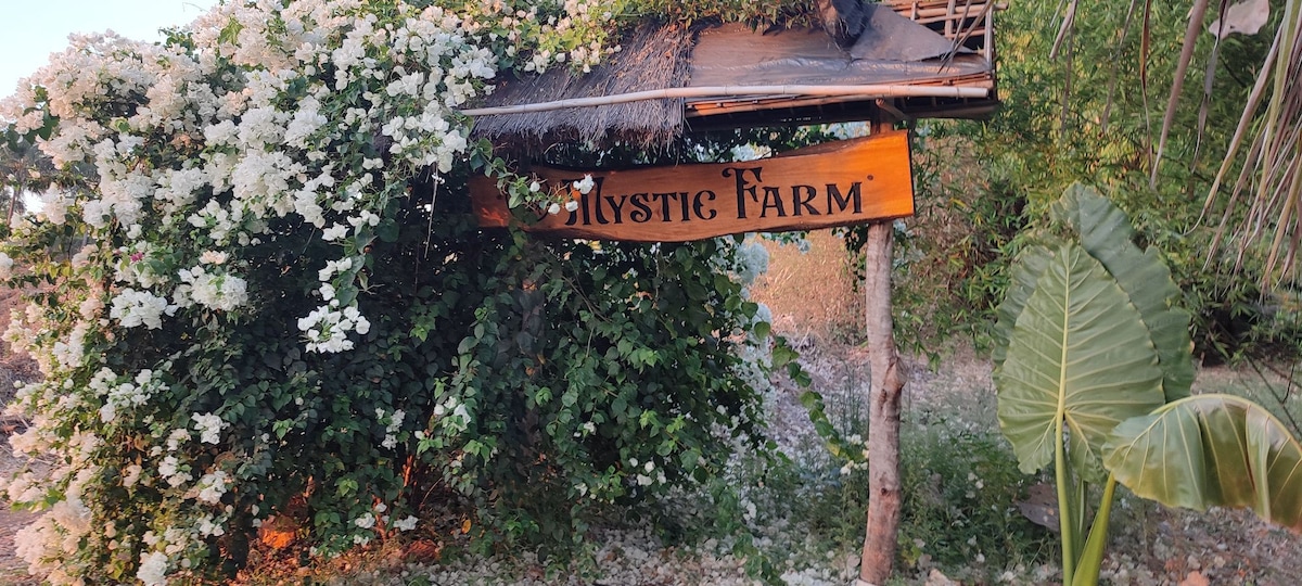Mystic Farm stay Hampi