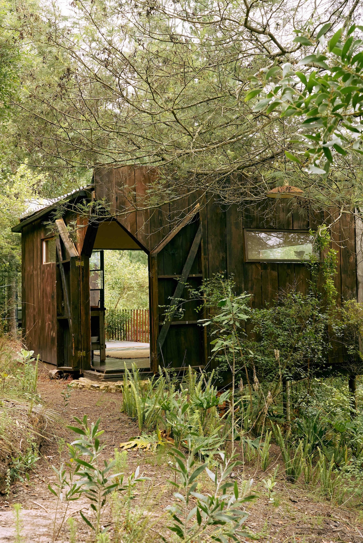 -瞭望塔- WonderWoods的僻静小屋