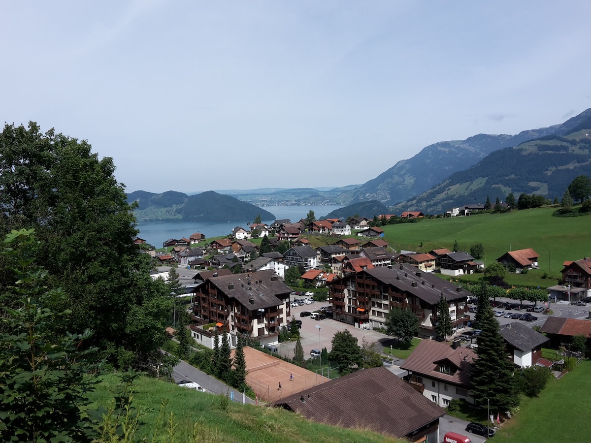 俯瞰卢塞恩湖（ Lake Lucerne ）和里吉（ Rigi ）的度假/节假日