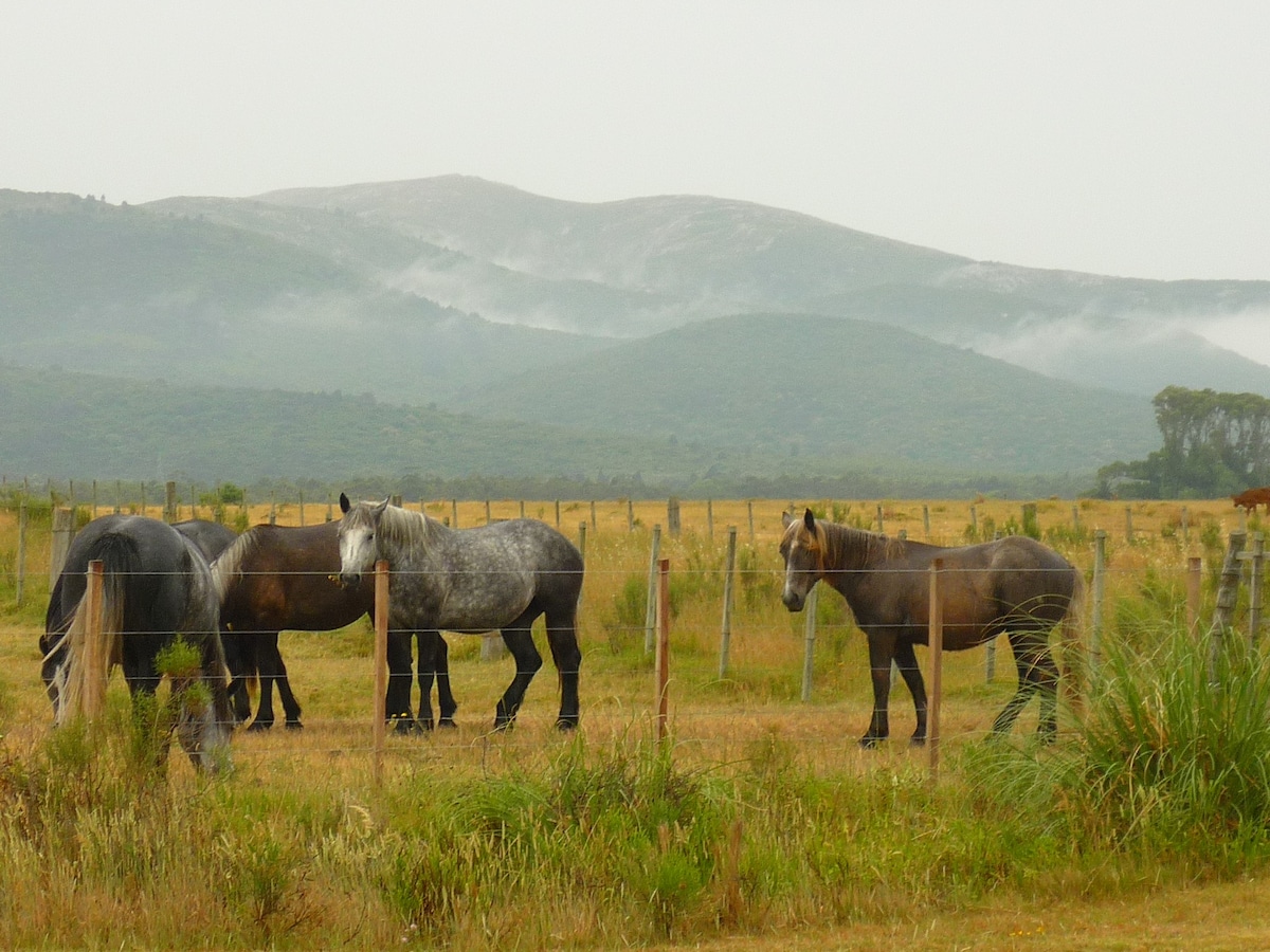 Lugar íntimo, puro, y natural