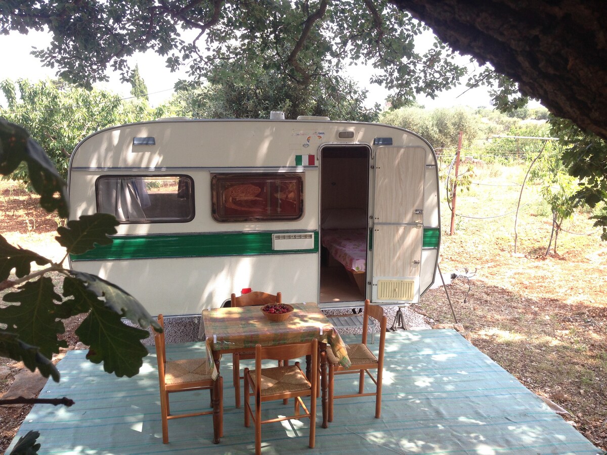 Caravan under oak  for true lover  Conversano BA