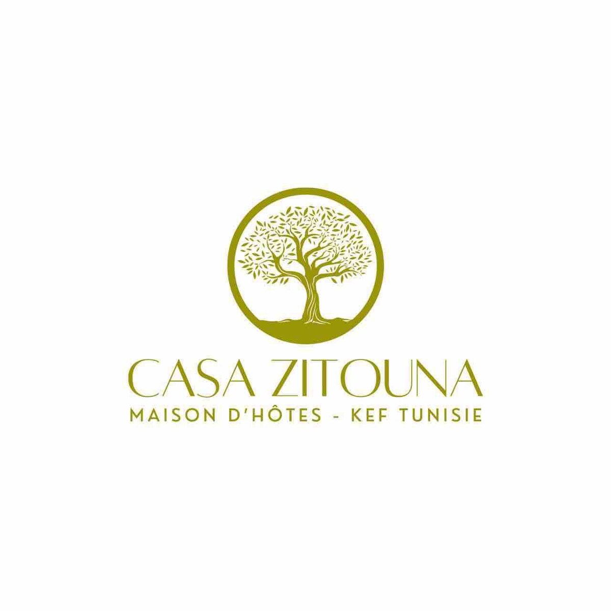 Casa Zitouna -位于突尼斯凯夫（ BNB ）