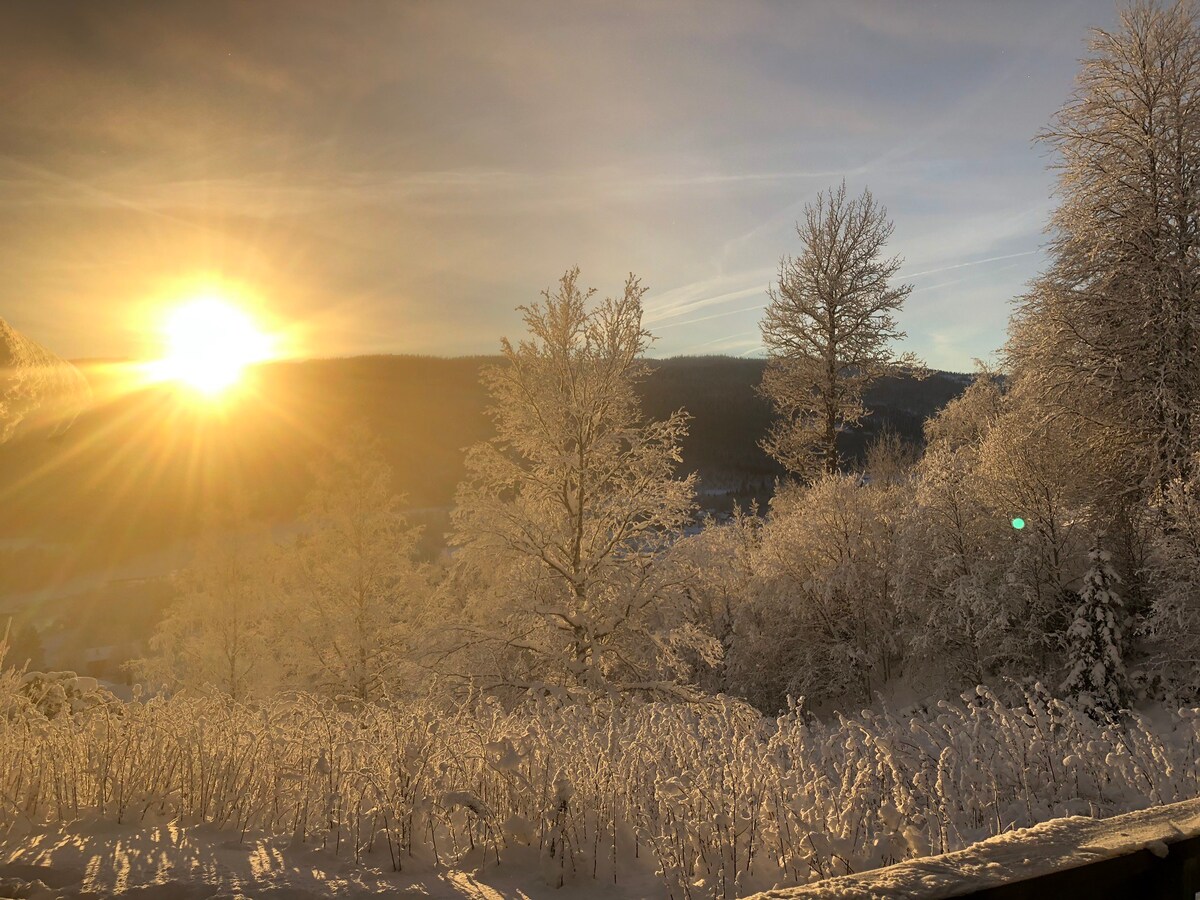 划分/Åre公寓，带小木屋感觉滑雪进出