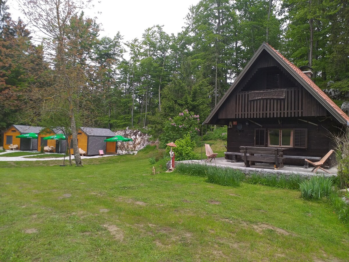 Lovely Wooden House for eight in Idrija