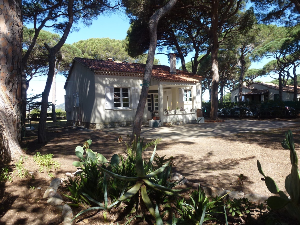 松树下别墅（ Villa Under the Pines ） -距离海滩150米