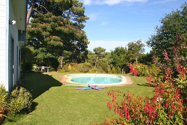 美丽的花园、游泳池和舒适的房子