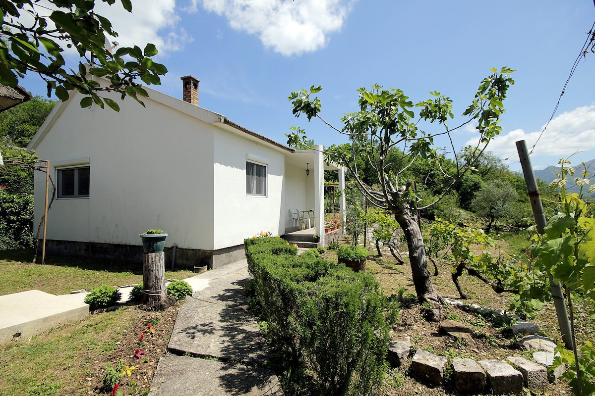 索托尼奇-克尔姆尼察的乡村住宅