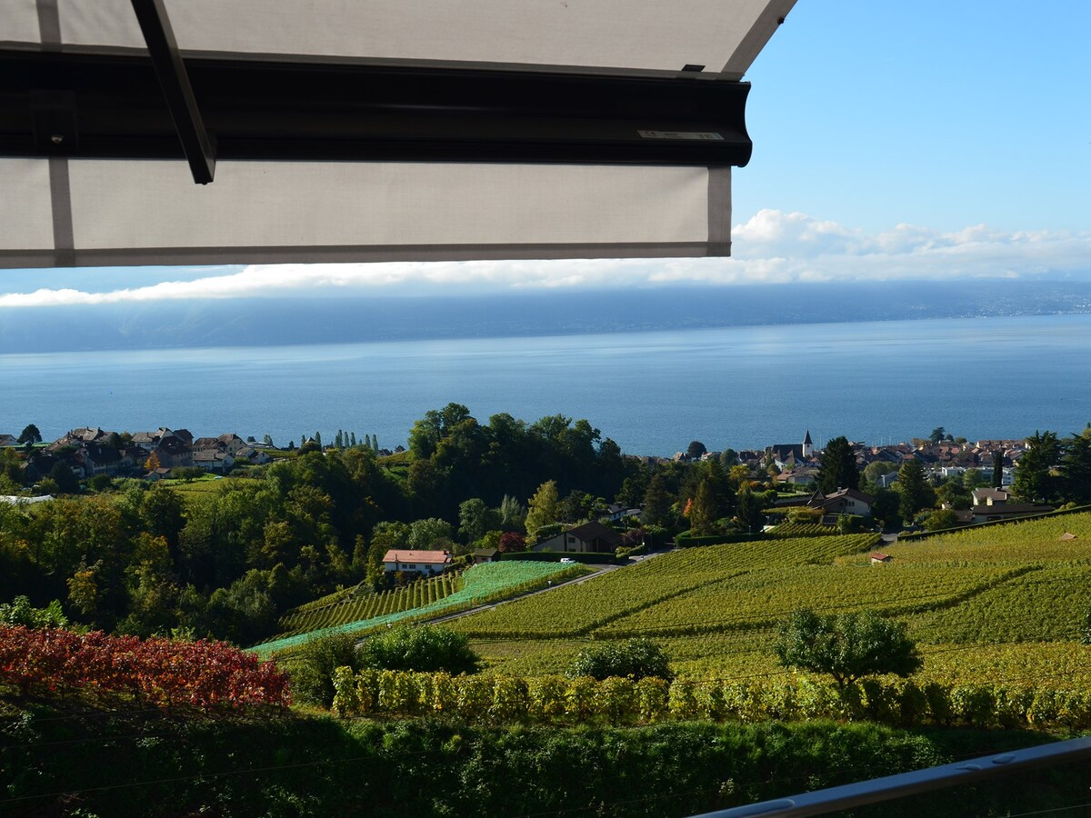 Luxury Villa Le Haut des Vignes Lutry/Lavaux