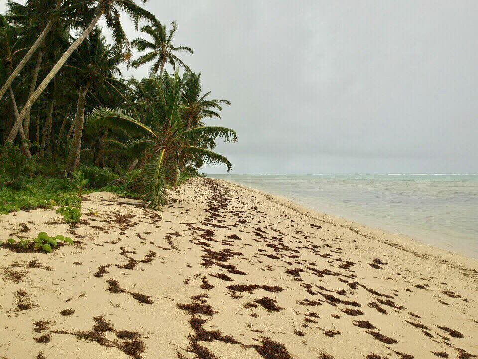纳塞瓦村-体验斐济生活方式