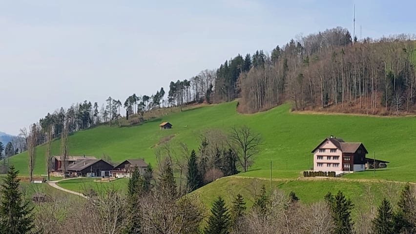 Oberhelfenschwil的民宿