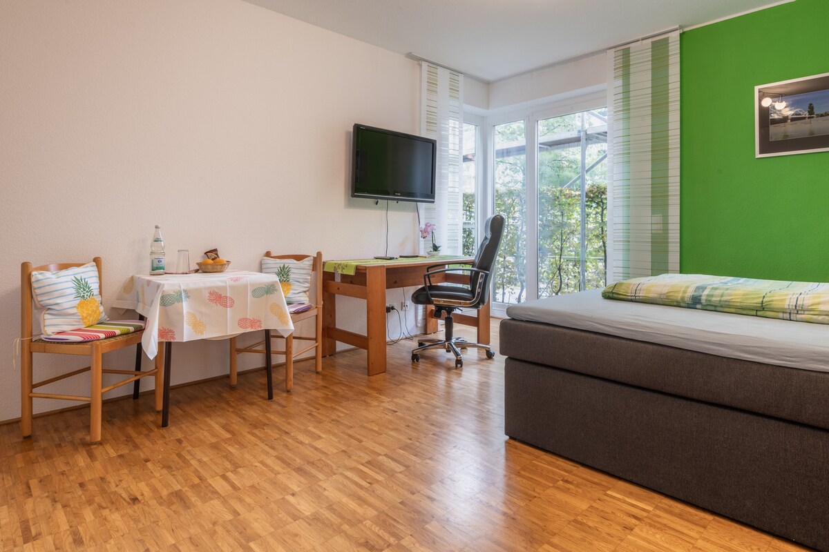 莱茵河畔舒适的公寓