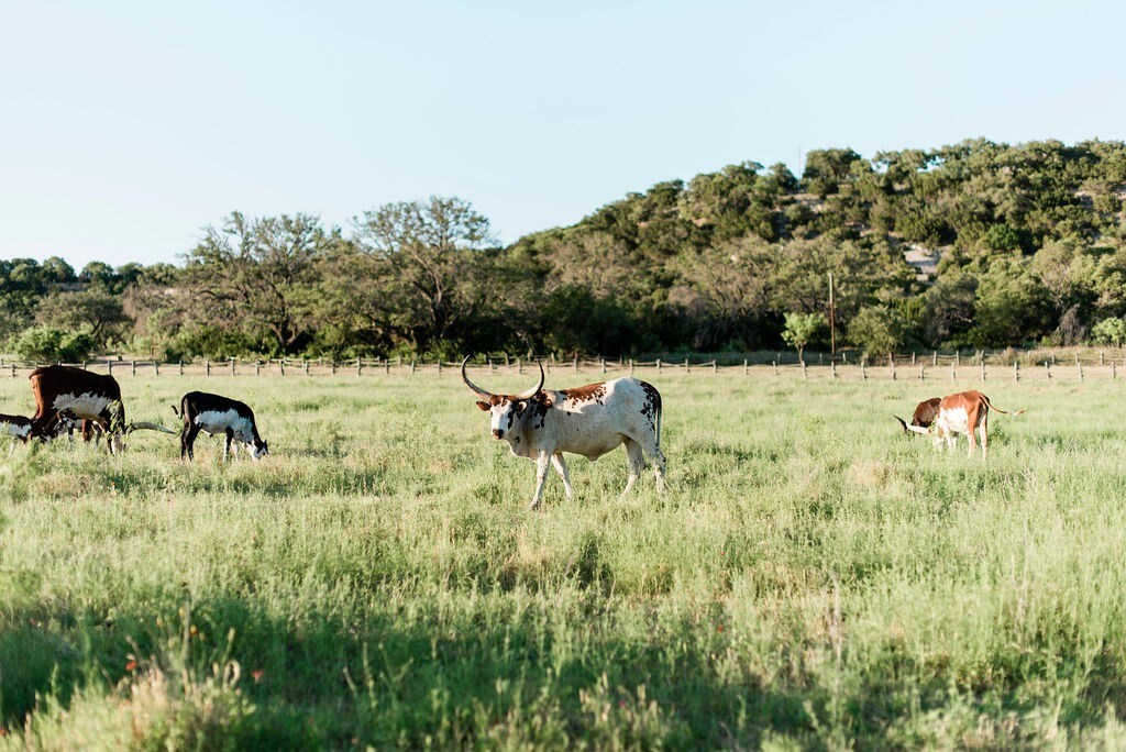 Contigo Ranch Fredericksburg小木屋No3