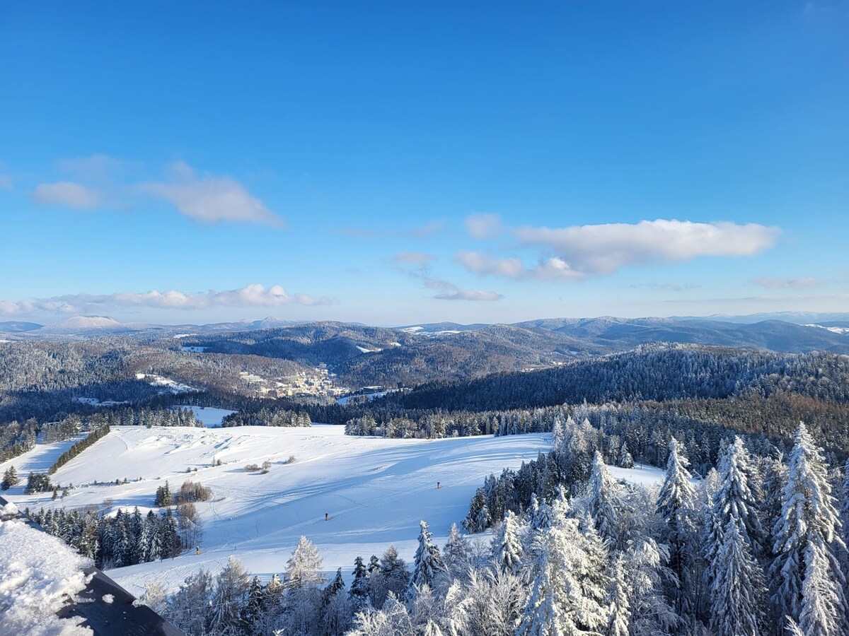 Dom w górach z sauną -Pokoje gościnne Powroźnik