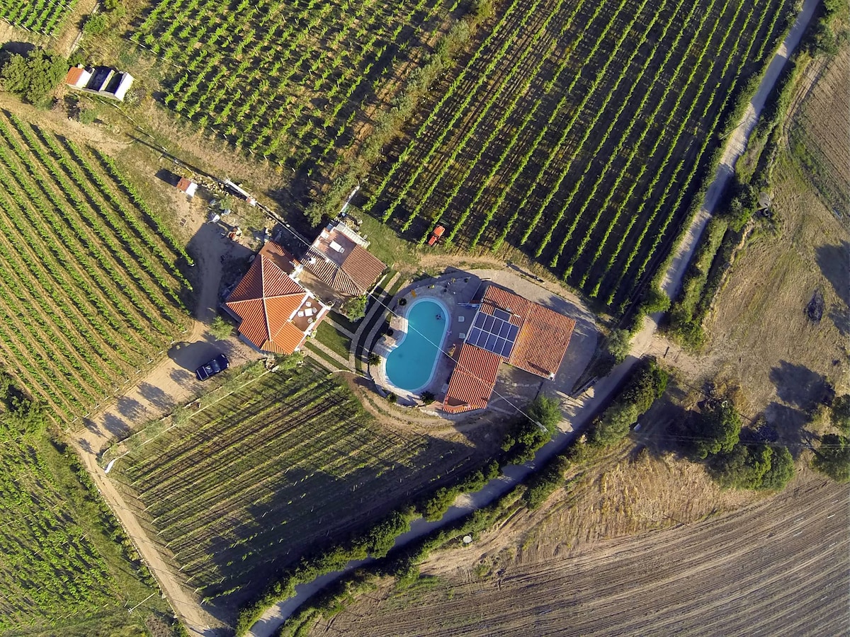 Agriturismo B&B Domo de Resteblas - Malvasia