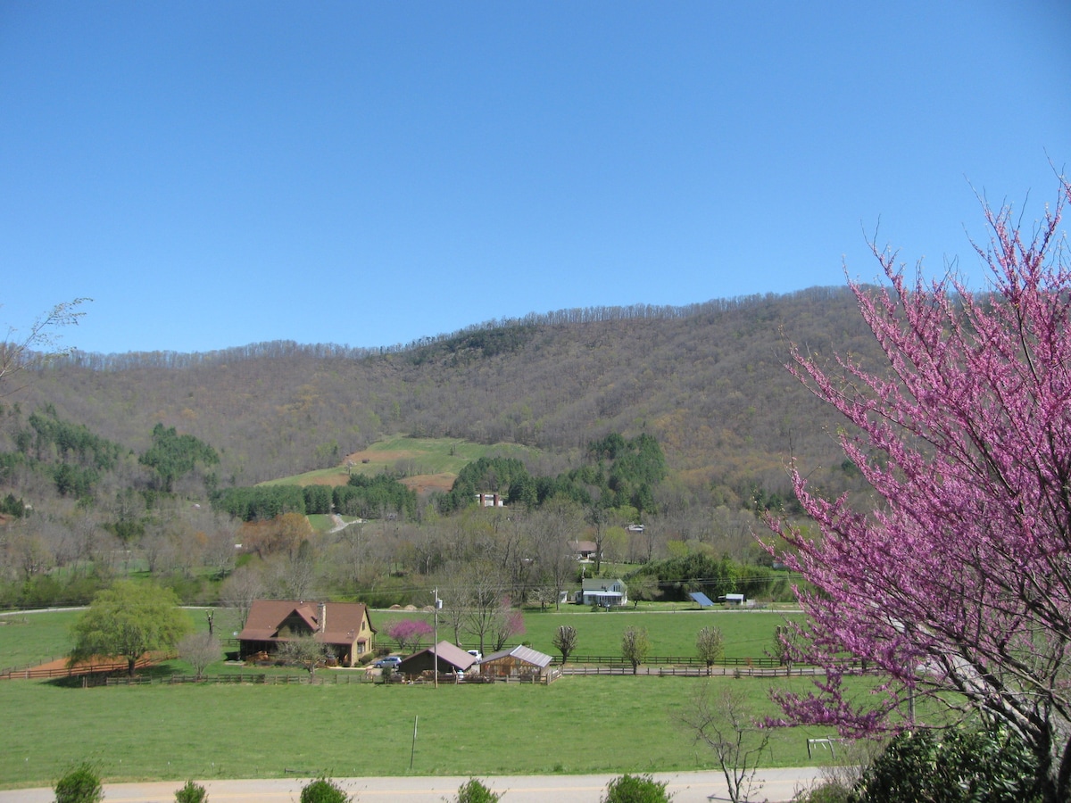 Tuckaseigee Valley Cabins的红屋顶