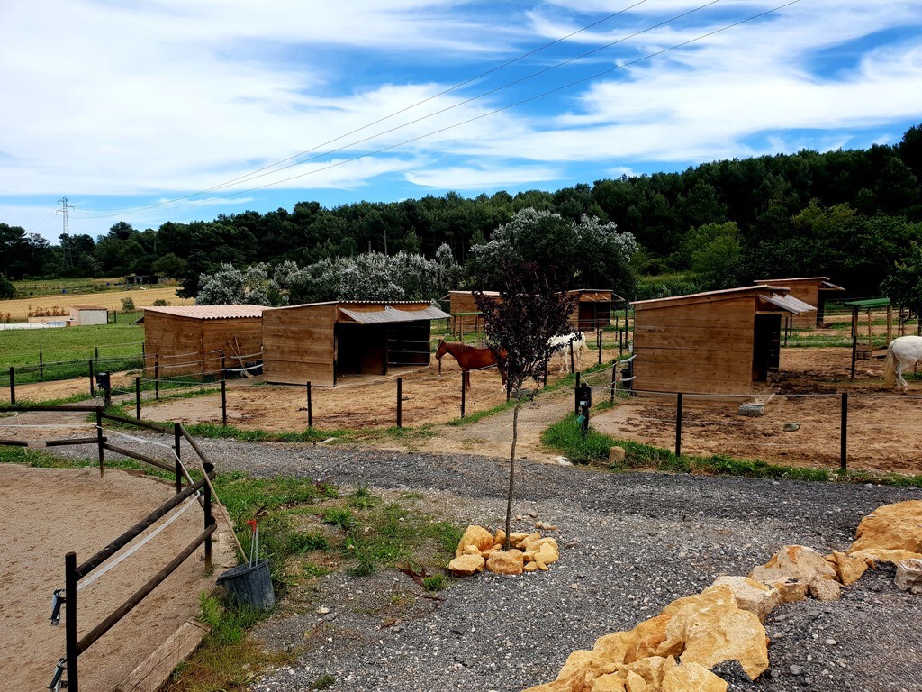 马术乡村小屋或不寻常的住宿