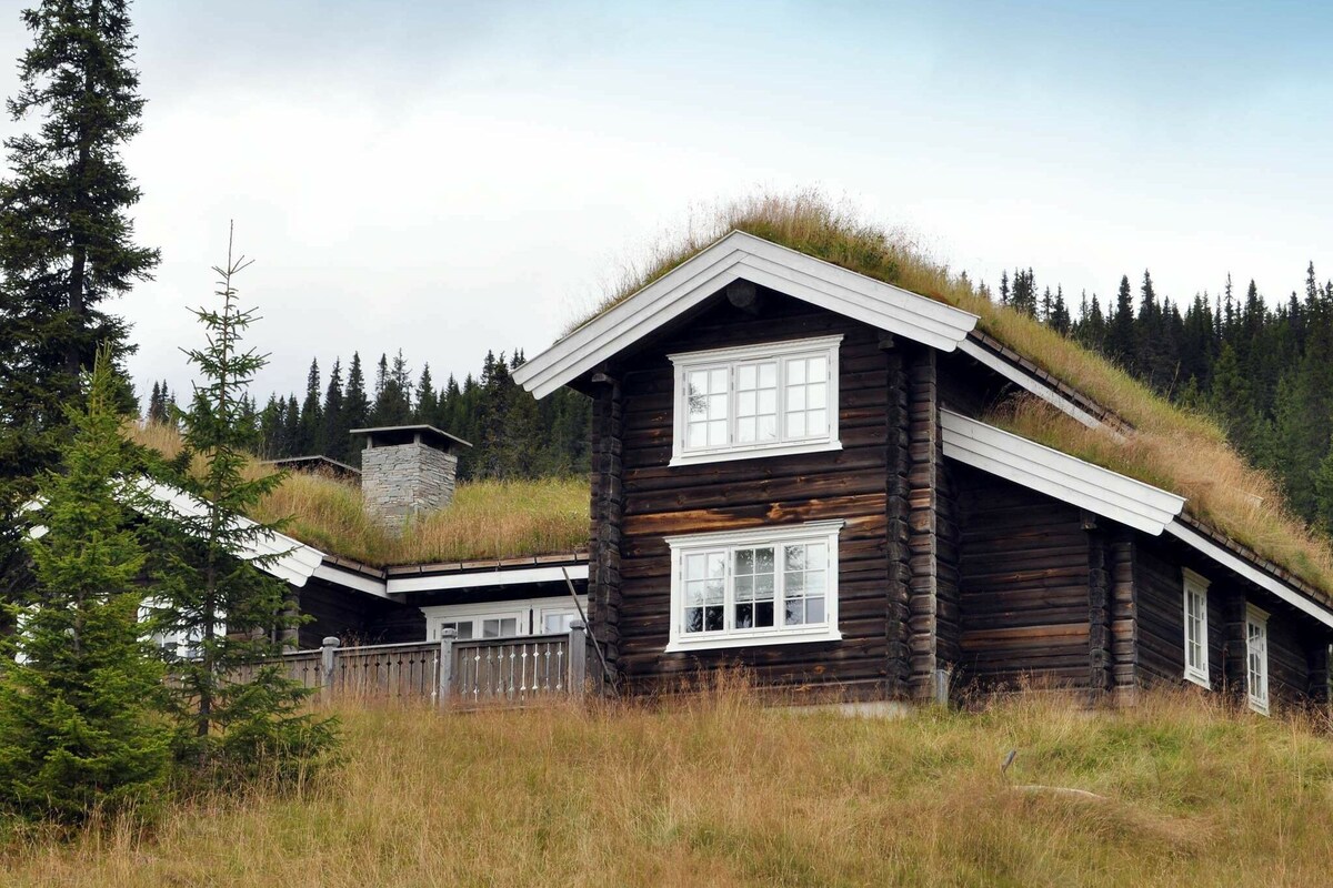 12 person holiday home in fåvang