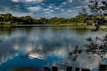 Naturpanorama Ferienwohnung am Norderteich