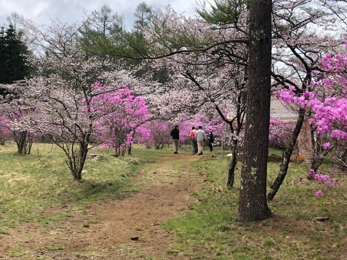 [新开放]富士山景观别墅花咲-A富士河口湖新建筑豪华一家预订