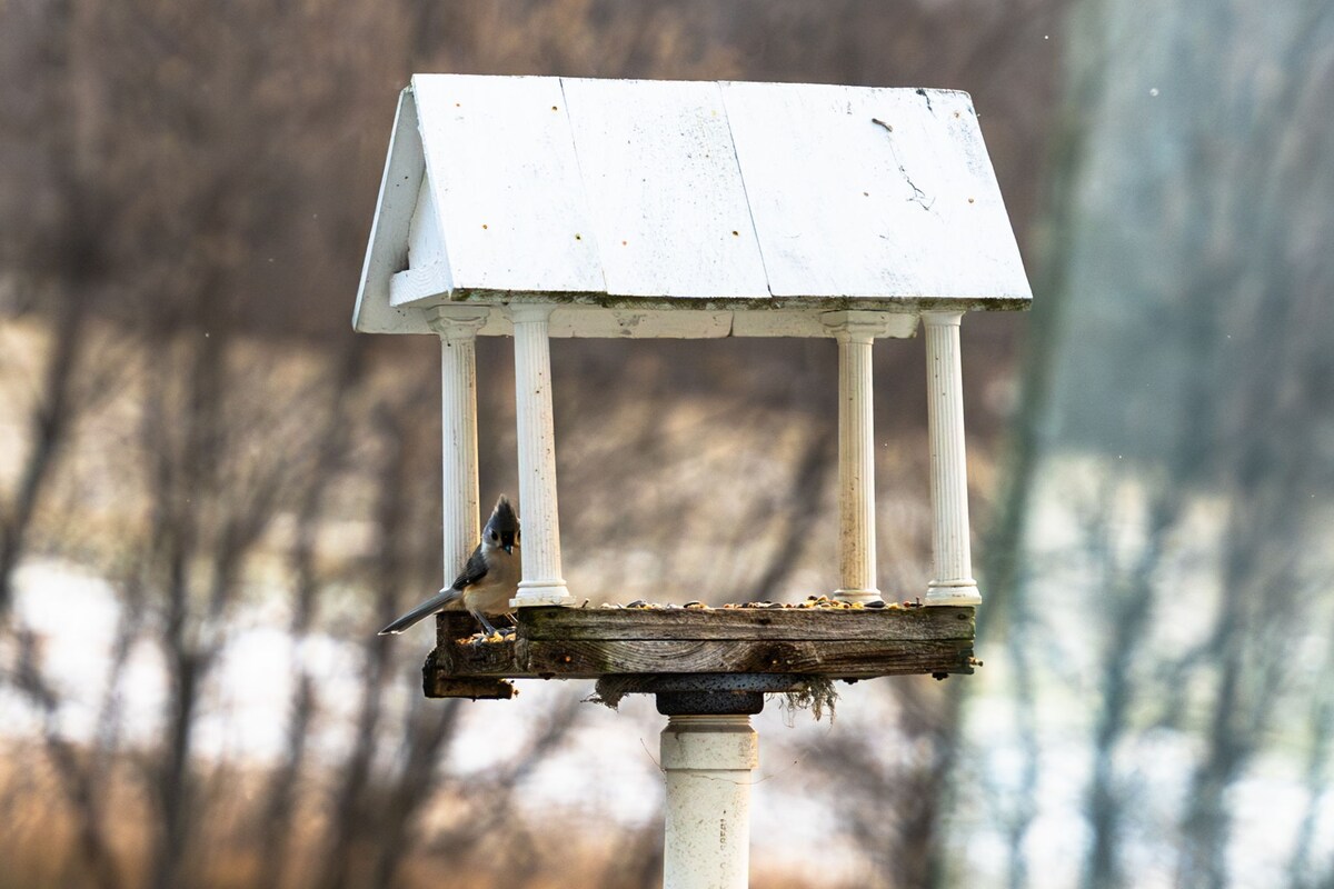 Canyon's Place - Minutes from Sugarbush!