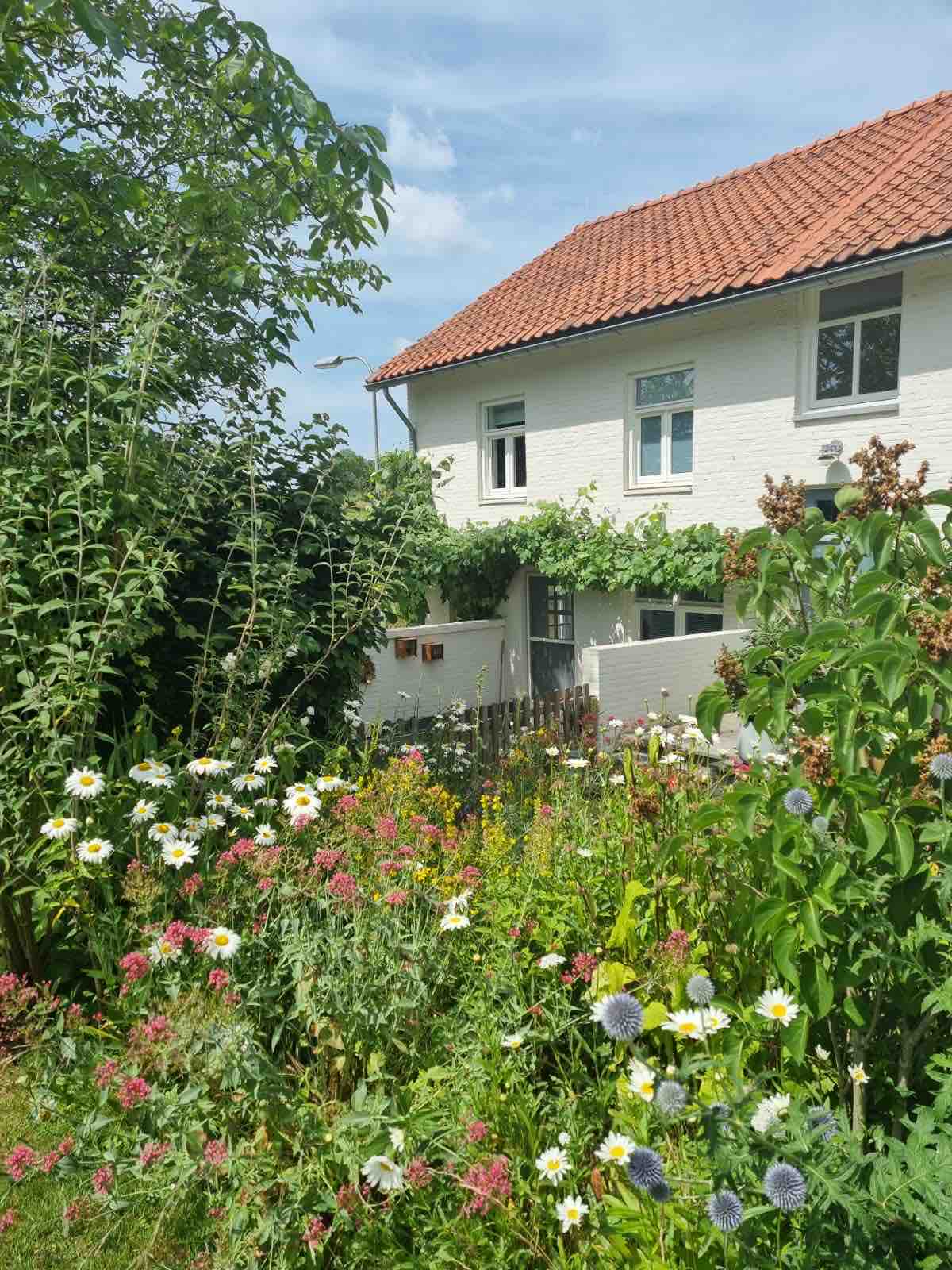 Vakantiewoning in oude boerderij in Zuid-Limburg