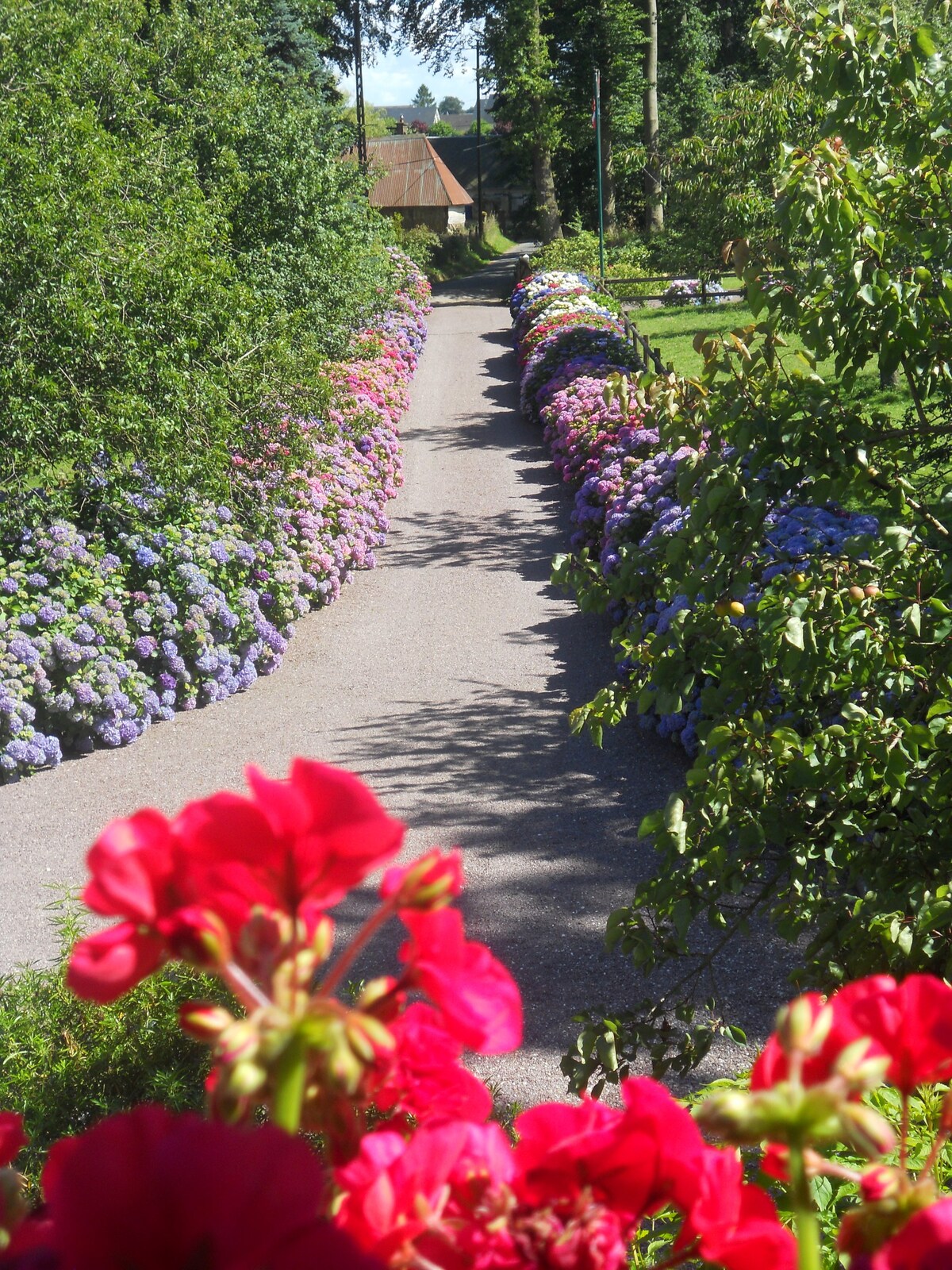 "Loft des Hydrangeas" （靠近Etretat, Honfleur ）