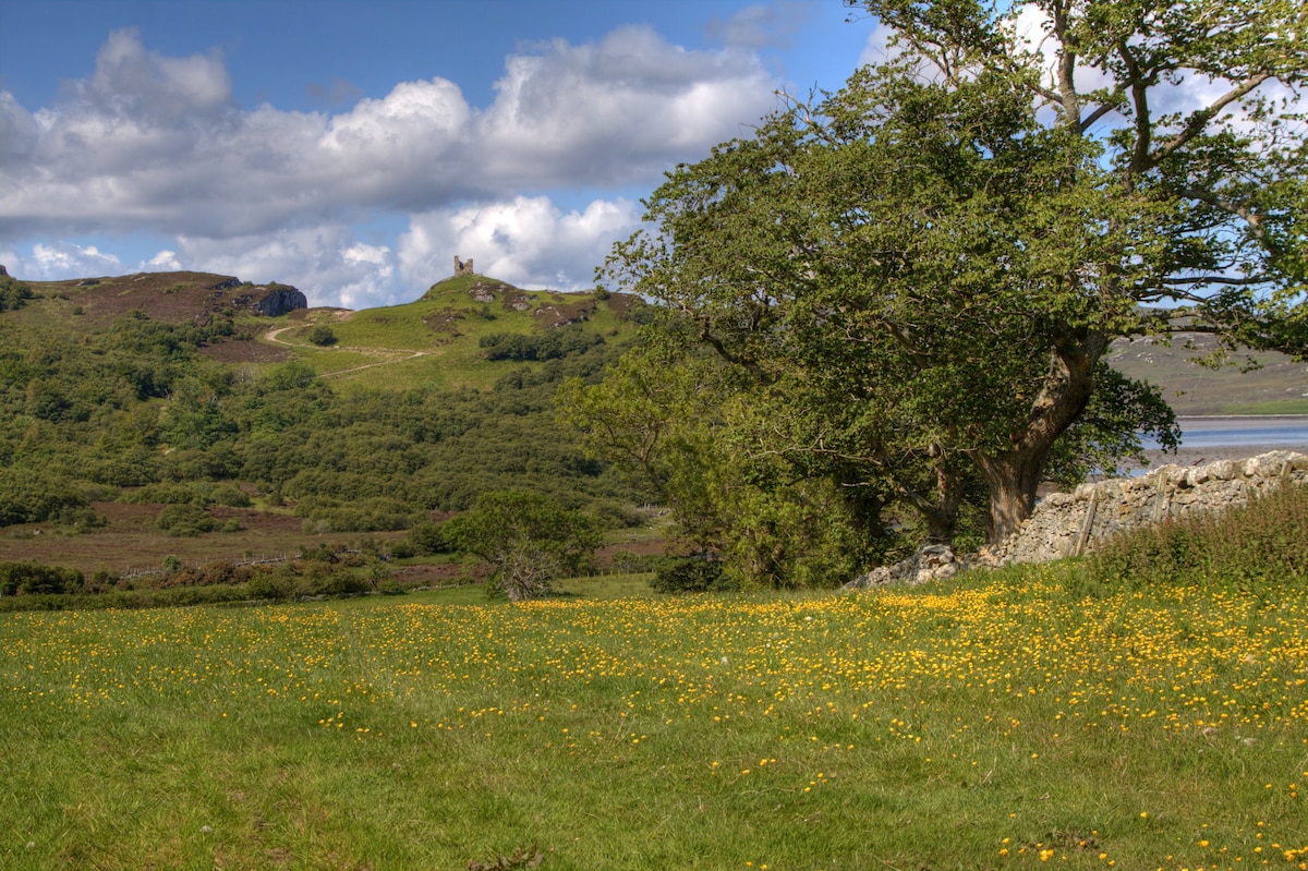 The Bothy Bed and Breakfast