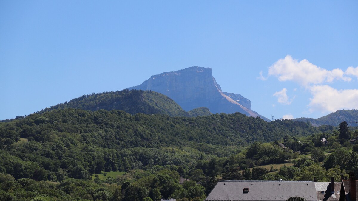 Chambre en centre-ville avec vue sur les montagnes