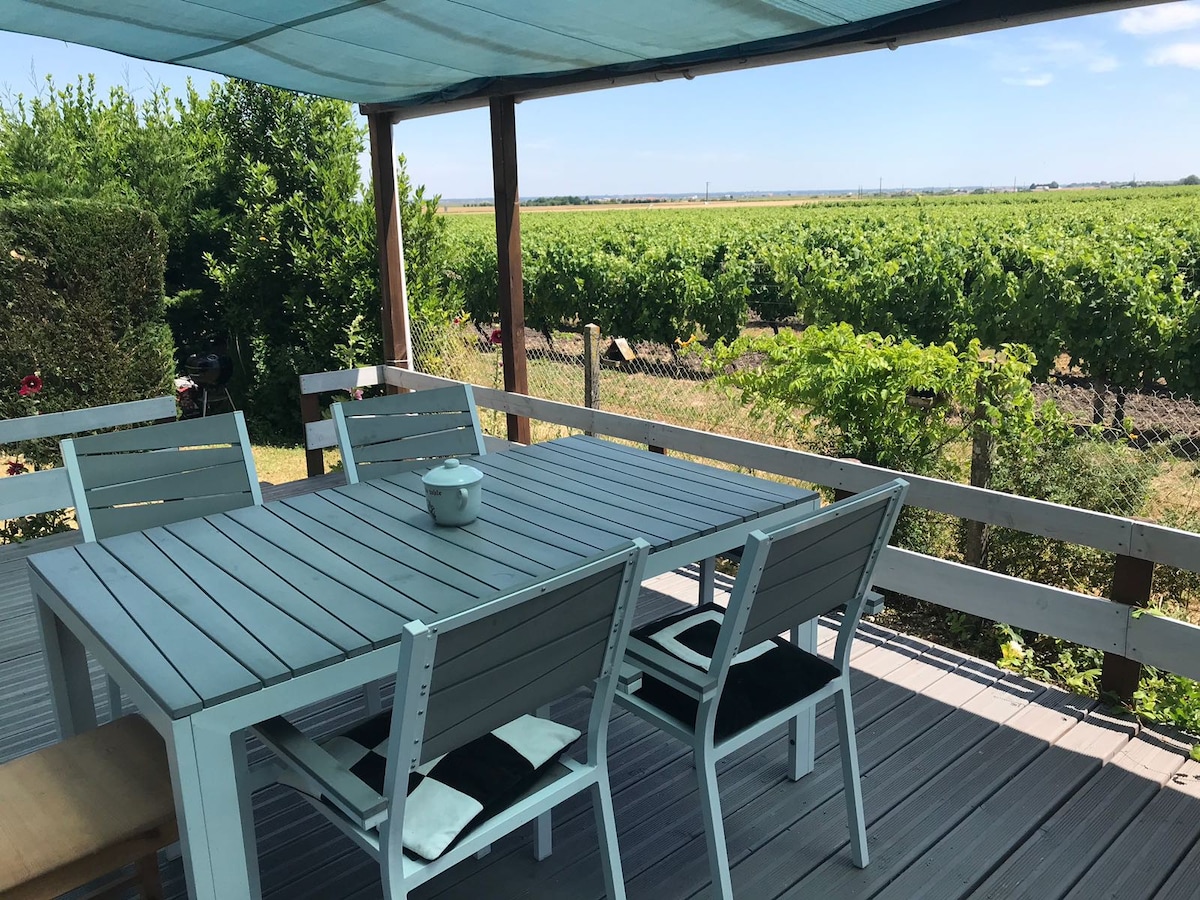 Agréable maison au calme avec vue sur les vignes