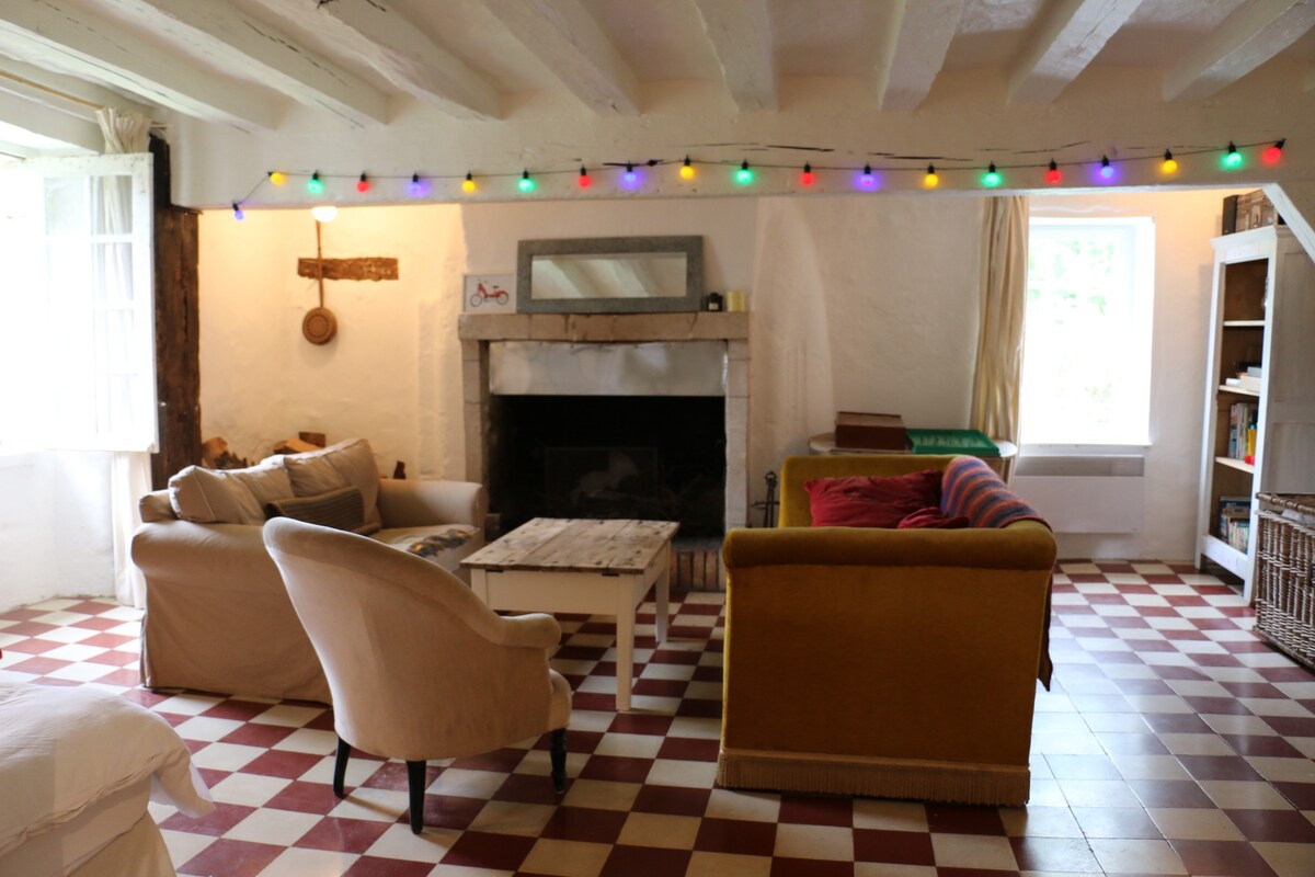 16th Lockmaster's House on river / Loire Castles