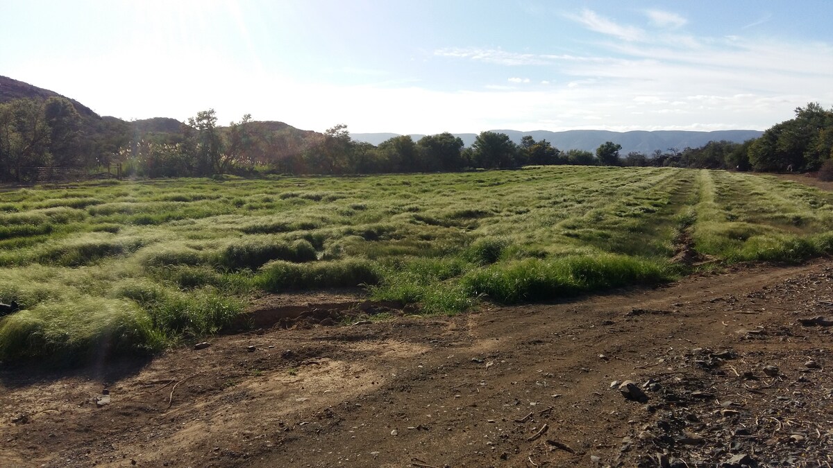 卡鲁农场（ Karoo Farm ） -远离喧嚣，安静舒适