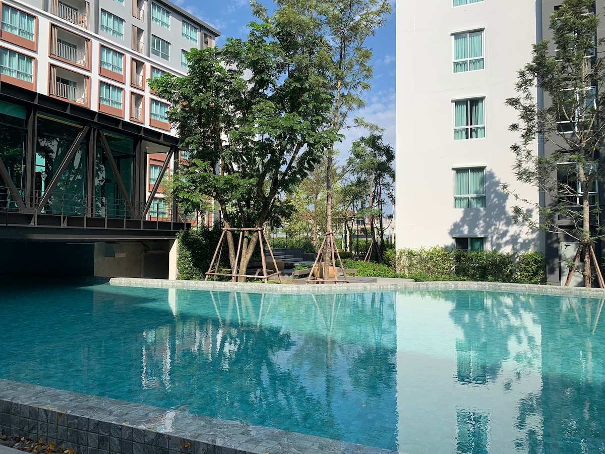 清迈的Dcondo Ping泳池景观高档公寓