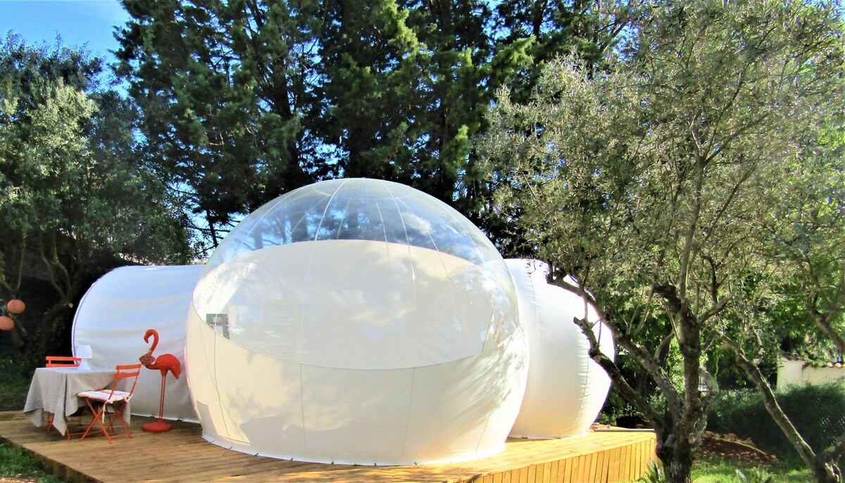 大自然中心的Bubble Dream独一无二的住宿