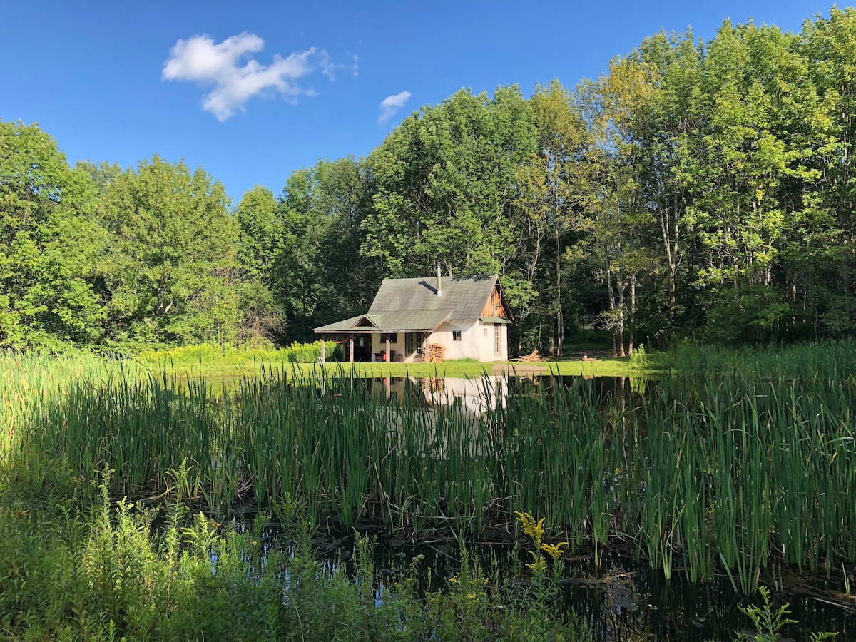 The Pond House