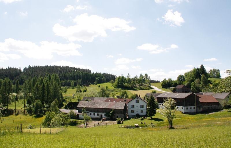 Biohof Besenbäck (Rappottenstein), Ferienwohnung VALENTINA (70qm) mit WLAN und Badeteich