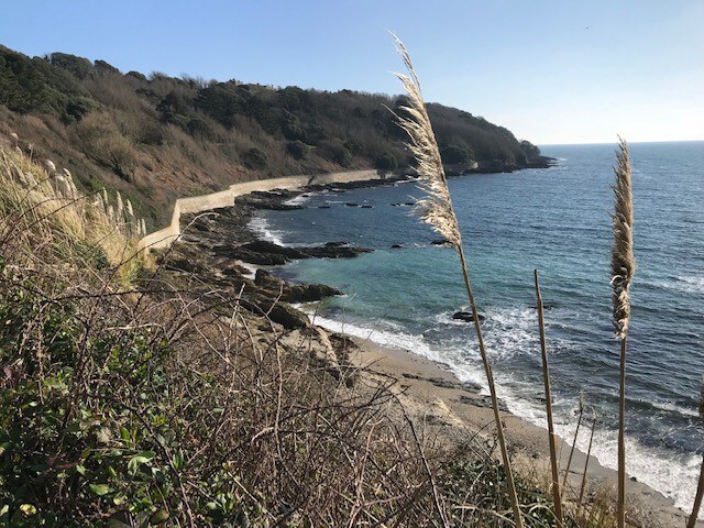 Cormorant ：阳光明媚，宽敞，靠近海岸