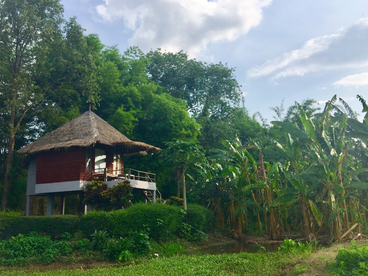 Pai河扇小屋C