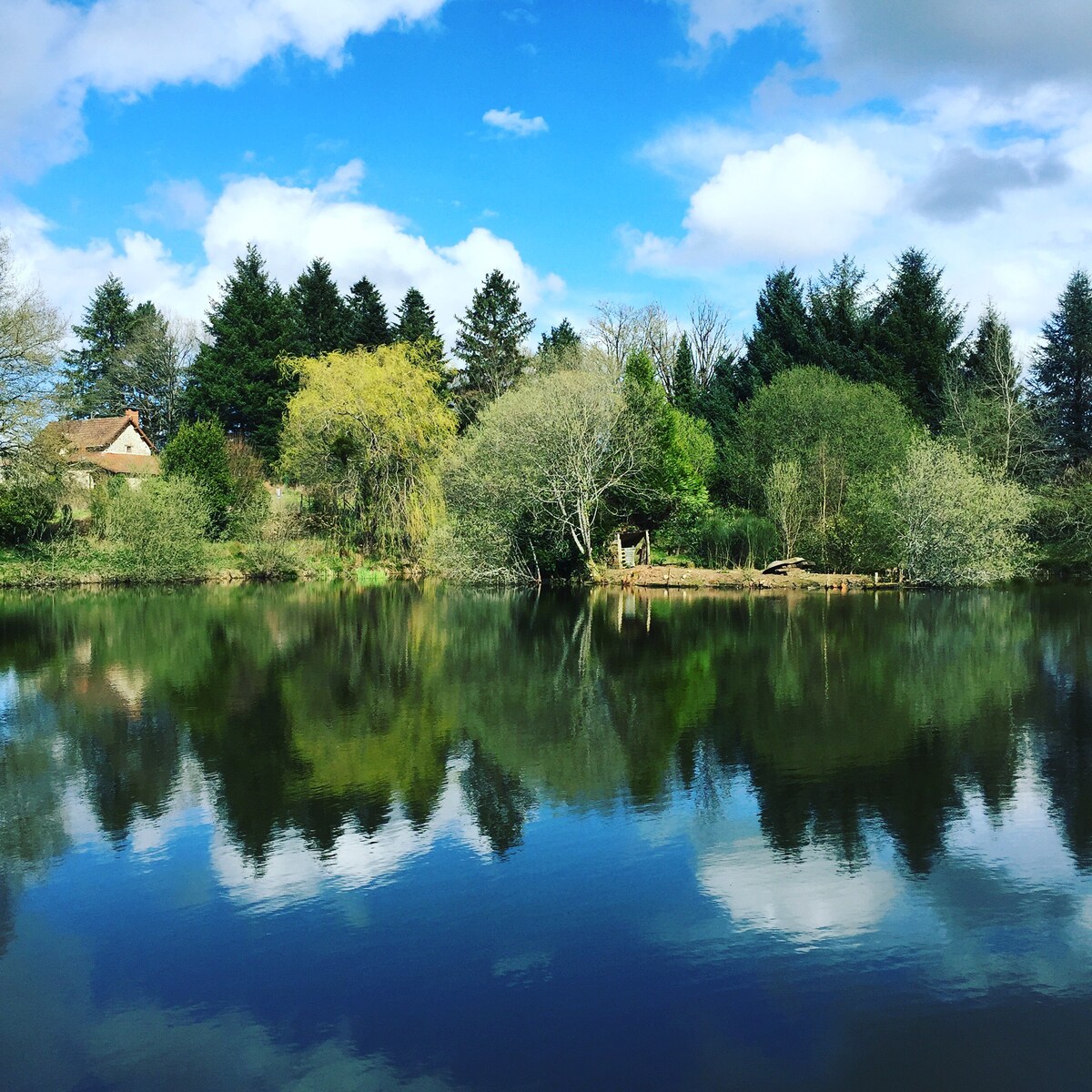 Farmhouse with Fishing Lake and Extensive Grounds