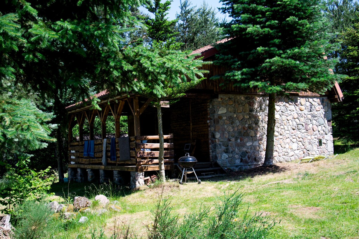 Kosanna -位于草地和森林中的迷人小屋